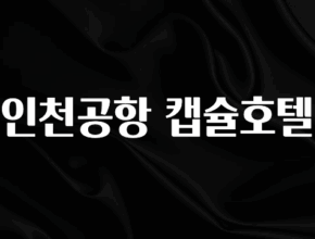 무료 배포Event 인천공항 캡슐호텔 리뷰가 많습니다