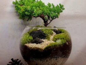 사실 찐정보는 테라리움 전합니다