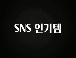 지금 당장 확인해야하는 이유 SNS 인기템 알짜배기만 골라가세요