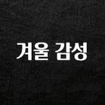 요즘 유행 겨울 감성 바로 소개합니다.