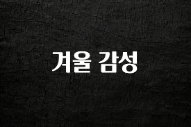요즘 유행 겨울 감성 바로 소개합니다.
