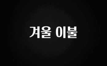 실시간으로 뜸! 겨울 이불 리뷰 해보겠습니다