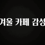 이번 달 겨울 카페 감성 꼭 확인해보세요