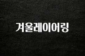 찐추천 이유 겨울레이어링 리뷰가 많습니다