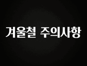 정보 쏟아짐 겨울철 주의사항 한 번에 알려드립니다