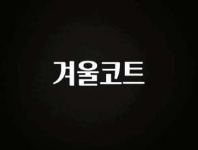 실시간 반응 터진 겨울코트 실시간 리뷰입니다