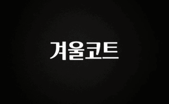 실시간 반응 터진 겨울코트 실시간 리뷰입니다