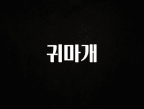 빠르게 확인 하세요! 귀마개 알짜배기만 골라가세요