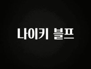 리뷰 좋은 나이키 블프 정직하게 소개해보겠습니다