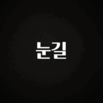 사랑을 담은 선물 눈길 업데이트된 소식입니다