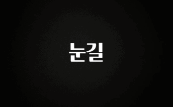 사랑을 담은 선물 눈길 업데이트된 소식입니다