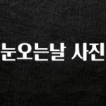 후회하지 않는 눈오는날 사진 최신정보