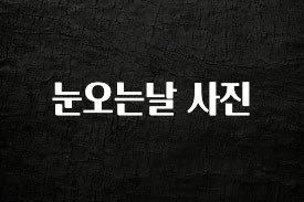 후회하지 않는 눈오는날 사진 최신정보