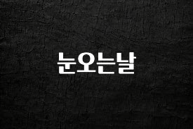 금주의 인기 눈오는날 꼭 알아두세요