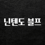 핫 소식 닌텐도 블프 전해드립니다