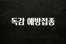 정보 쏟아짐 독감 예방접종 지금떳다