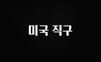 혹시 찾고계셨나요? 미국 직구 무조건 확인