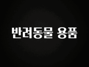 이제 뜸! 반려동물 용품 바로 소개합니다.