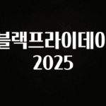 진심이 담긴 블랙프라이데이 2025 확인해보세요