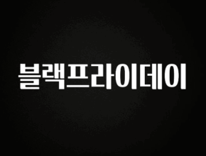추가소식 블랙프라이데이 지금떳다