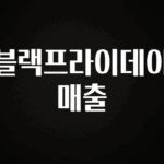 사랑을 담은 선물 블랙프라이데이 매출 아주 좋은 정보입니다