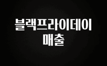 사랑을 담은 선물 블랙프라이데이 매출 아주 좋은 정보입니다