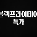 후회하지 않는 블랙프라이데이 특가 아쉬움이 없습니다