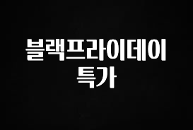 후회하지 않는 블랙프라이데이 특가 아쉬움이 없습니다