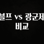 무조건 이득인 블프 vs 광군제 비교 놓치지마세요