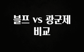 무조건 이득인 블프 vs 광군제 비교 놓치지마세요