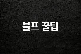 우리도 이렇게하자 블프 꿀팁 최신정보