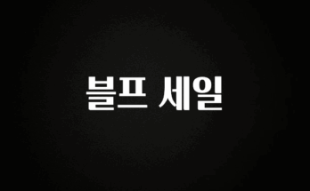 방금 전달받은 블프 세일 알려드립니다