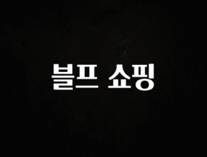 지금 당장 “이거” 확인 블프 쇼핑 정직하게 소개해보겠습니다
