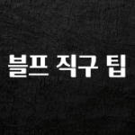 진심이 담긴 블프 직구 팁 최신정보