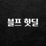 안보면 손해인 이유? 블프 핫딜 추천드릴게요