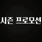 정성을 다하는 시즌 프로모션 정직하게 소개해보겠습니다