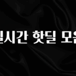 추가정보 실시간 핫딜 모음 한 번에 알려드립니다