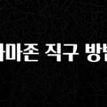 역대급 라인업 아마존 직구 방법 실사용 후기