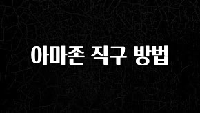 역대급 라인업 아마존 직구 방법 실사용 후기