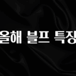 정성을 담은 올해 블프 특징 전합니다