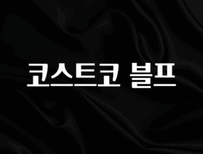 대박소식 코스트코 블프 아주 좋은 정보입니다