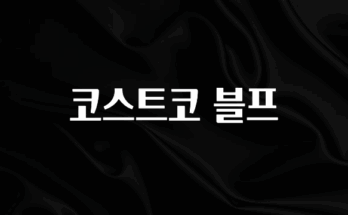 대박소식 코스트코 블프 아주 좋은 정보입니다