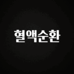 인플루언서가 공개한 혈액순환 궁금하신가요?