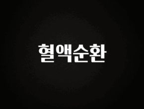 인플루언서가 공개한 혈액순환 궁금하신가요?