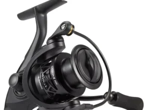 최저가로 모시는 2025&nbsp;요즘 sns에서 난리난 Piscifun Carbon X 스피닝 릴 최대 15kg 초경량 145g 5.2:1/6.2:1 기어비 11BB 1000 2000 3000 4000 민물 낚시 릴&nbsp; 리뷰 최다로 엄선된 최고의 제품을 소개합니다.