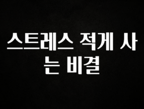 인스타 정보 스트레스 적게 사는 비결 요약본만 확인해보세요
