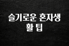 후회하지 않는 슬기로운 혼자생활 팁 알짜배기만 골라가세요