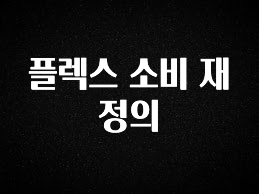 모두가 궁금했던 플렉스 소비 재정의 정직하게 소개해보겠습니다