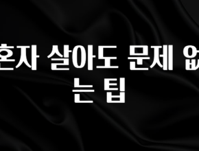 검색량 증가한 혼자 살아도 문제 없는 팁 30초면 확인 가능합니다